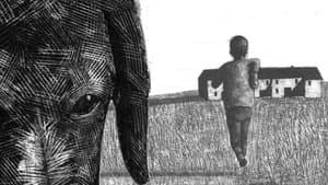 La memoria dei cani — foto 1