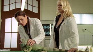 Episodio 5