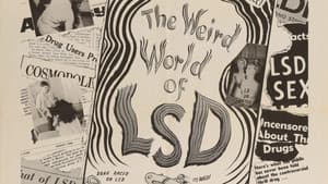 The Weird World of LSD — foto 1
