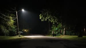 Night Walk — foto 2