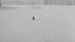 Патека — foto 1
