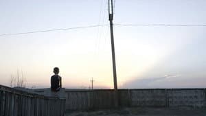 The Distant Barking of Dogs — foto 1