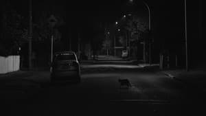 Night Ride — foto 3