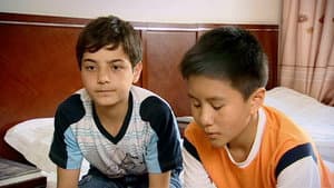 Episodio 29