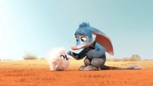 Bilby — foto 5