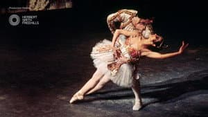Don Quixote — foto 2