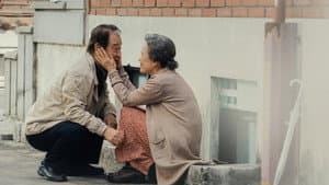 로망 — foto 9