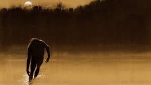 The Legend of Boggy Creek — foto 1