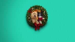 Happy Howlidays — foto 4