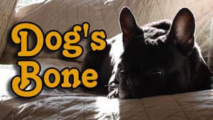 Dog's Bone — foto 1