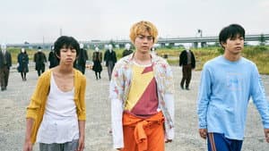タロウのバカ — foto 2