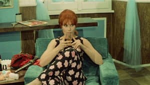 Die Nichten der Frau Oberst — foto 4