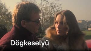Dögkeselyű — foto 2