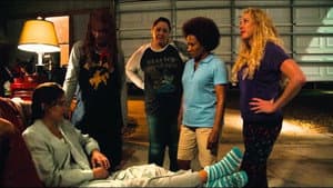 The Hot Flashes — foto 11