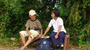 The Story of Net — foto 1