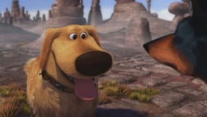 La misión especial de Dug — foto 3