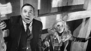 Angustias del Doctor Mel Brooks — foto 1