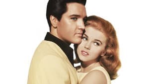 Viva Las Vegas — foto 11