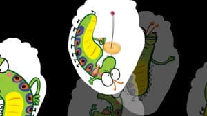 The Very Impatient Caterpillar — foto 2
