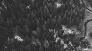 The Hike — foto 2
