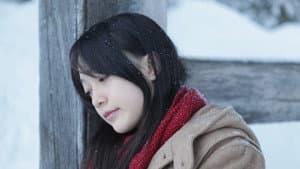 冬天，最后的碎片 — foto 1