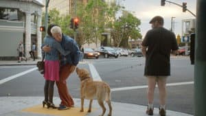 Unleashed — foto 7
