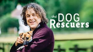 The Dog Rescuers with Alan Davies — foto 3