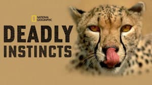 Deadly Instincts — foto 2