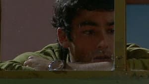 Episodio 219