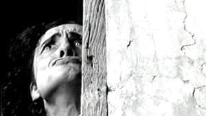 Fiorenzo — foto 1