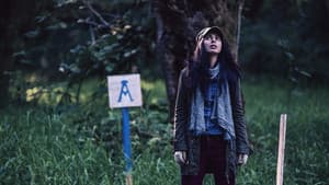 The Shasta Triangle — foto 1