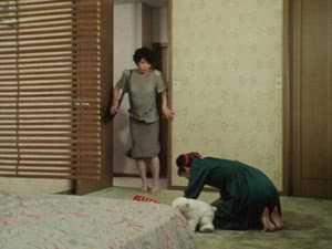 Episodio 30