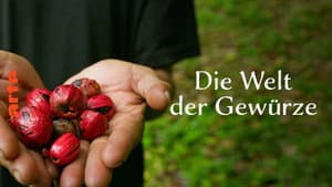 Die Welt der Gewürze — foto 1