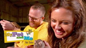 Episodio 1