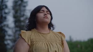 Soleils Atikamekw — foto 4