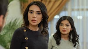 Episodio 41