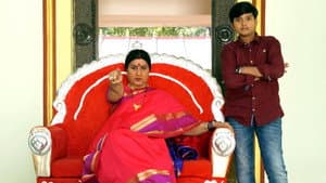 అన్నపూర్ణమ్మ గారి మనవడు — foto 1