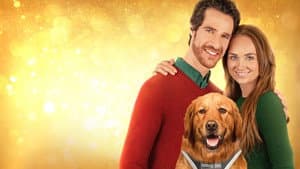 My Christmas Guide — foto 2
