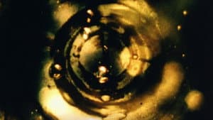 Prima Materia — foto 2