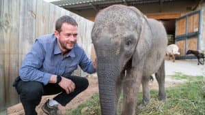 Baby Animal Rescue — foto 1
