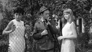 Konec léta — foto 1