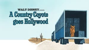 A Country Coyote Goes Hollywood — foto 3