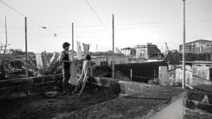 Los océanos son los verdaderos continentes — foto 1