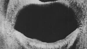 The Big Swallow — foto 1