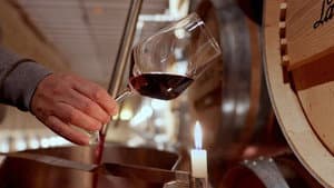 Rioja, la tierra de los mil vinos — foto 1