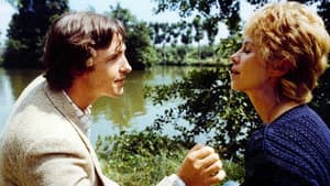 Svarta fåglar — foto 1