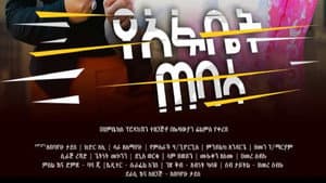 Yeafbet Tebasa — foto 1