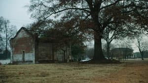 Texas Heart — foto 4