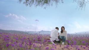 你的谎言也动听 — foto 3