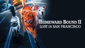 Volviendo a Casa 2: Perdidos en San Francisco — foto 12